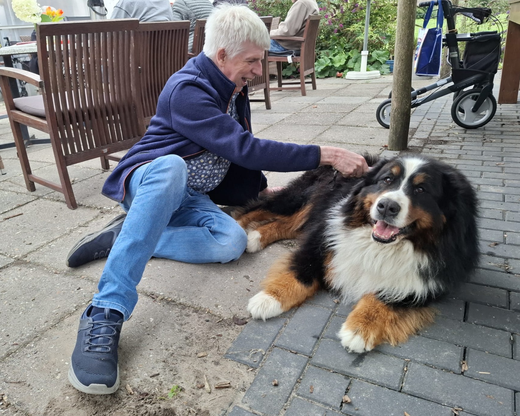 sven en miep 2 2025 sven en miep 2 2025